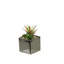 Faux Echeveria Succulent in Ceramic Planter