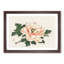 Pink Peony by Kono Bairei - Framed Print-55769688-55769691