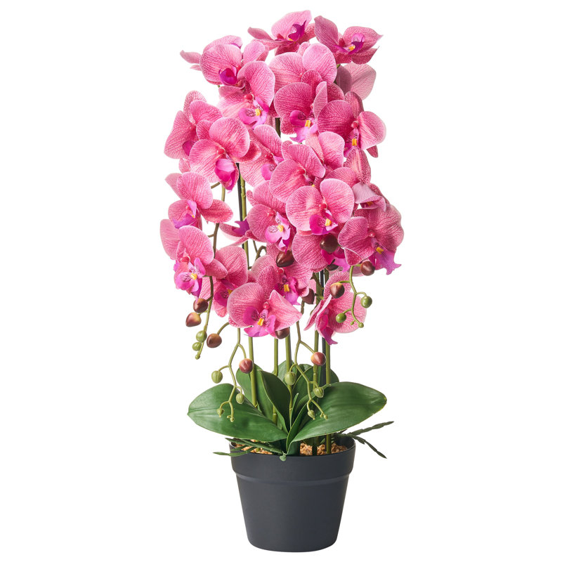 65cm Faux Orchid Plant in Pot