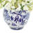 Viburnum Arranged in a Ceramic Vase