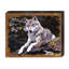 Bloc en bois loup Schorr-997982731