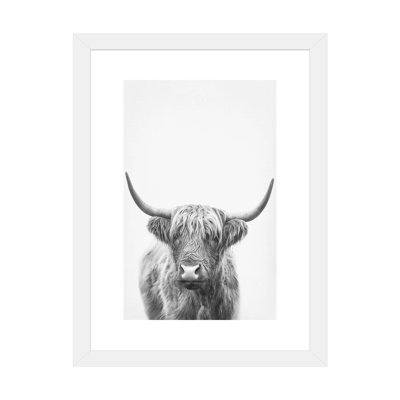 Highland Bull II by Sisi & Seb Photograph Print