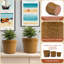 Ensemble de 3 pots de fleurs décoratifs pour l'extérieur 15 "en céramique avec pot de drainage-1490633628