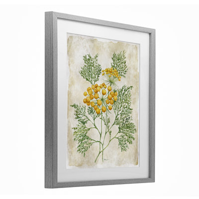«Botanical Journal», reproduction d'art encadrée sous verre, conception de Paul Brent