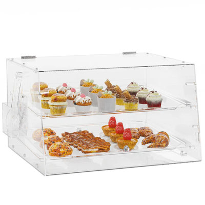 12.1'' H x 20.9'' W Acrylic Display Case