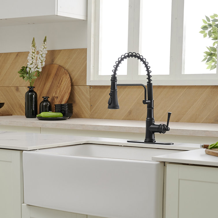 Pull Down Single Handle Kitchen Faucet with Accessories