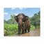 No Frame Print on Canvas-1626684144