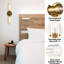 Applique murale en laiton et verre-395214815-395214813