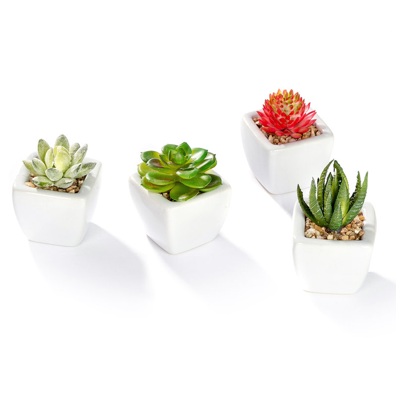 Ensemble de 4 mini plantes grasses artificielles en pots