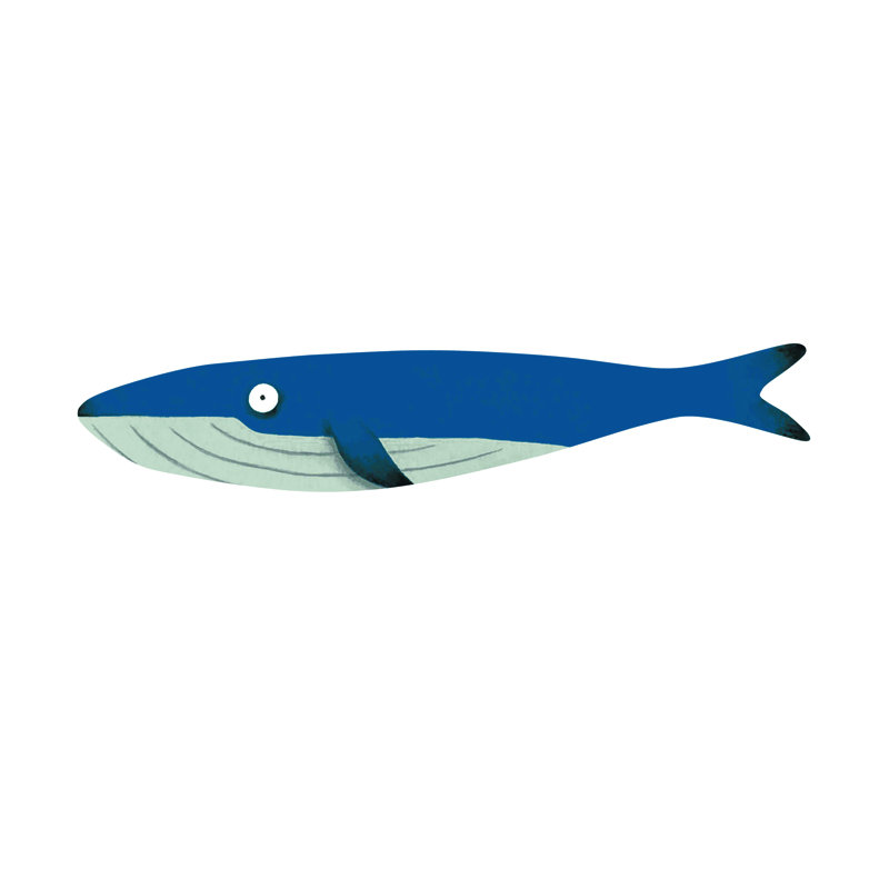 Açores, sardine