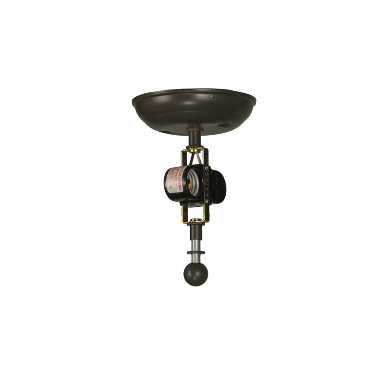 Bronze and Glass Trout Flush Mount Light