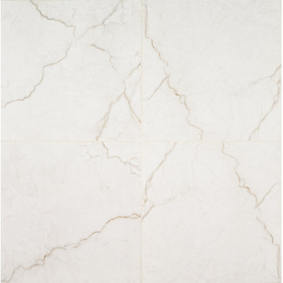 Carrelage mural en porcelaine mate 24 po x 24 po Beldale