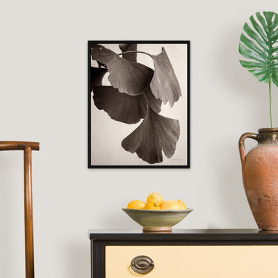 Gingko sépia - reproduction sur toile
