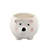 Ceramic Pot Planter
