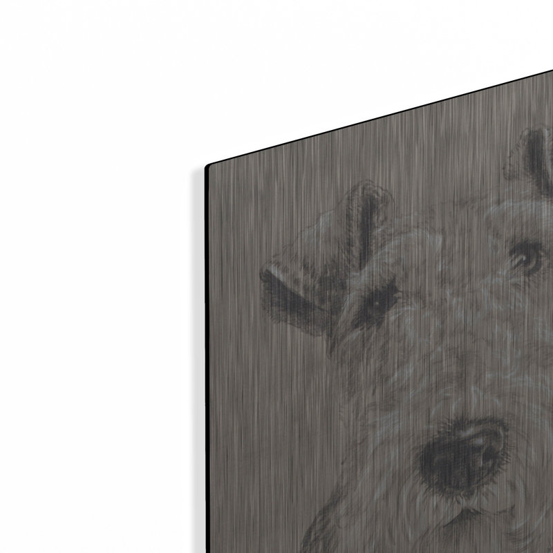 «Wire Fox Terrier» par Barbara Keith, H 24 po x l 16 po