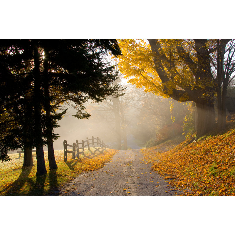 Route de campagne en automne par Denistangneyjr