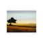Golden Glow III Print-26944410-26944413