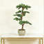 Bonsaï artificiel de 39 po avec feuilles réalistes luxuriantes, plante à feuilles persistantes artificielle en pot décoratif