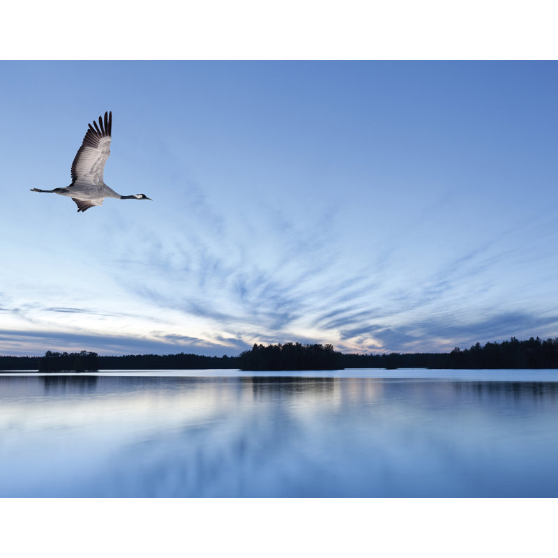 3.18m x 250cm Matte Wall Mural