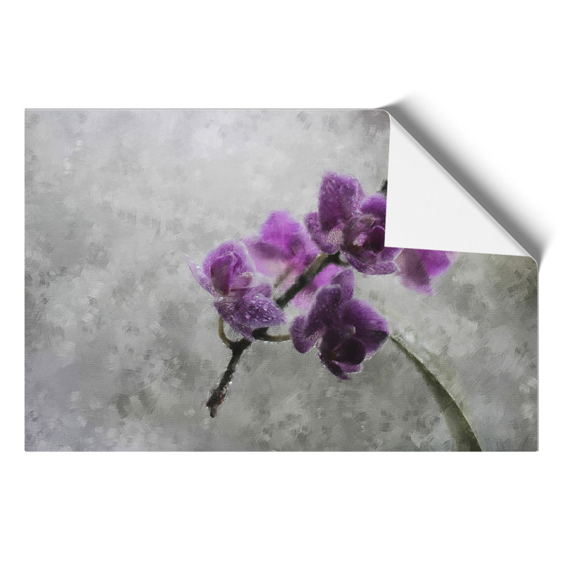 Orchid Flowers Vol.3 - No Frame Print, 42cm H x 59cm W x 0.1cm D
