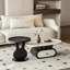 Oval Creative Rabbit-Ear Storage Coffee Table Set