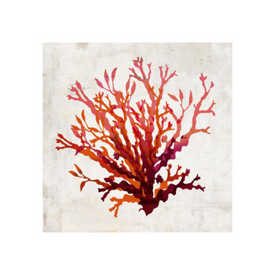 Pomegranate Coral II Print by Sofia Fox