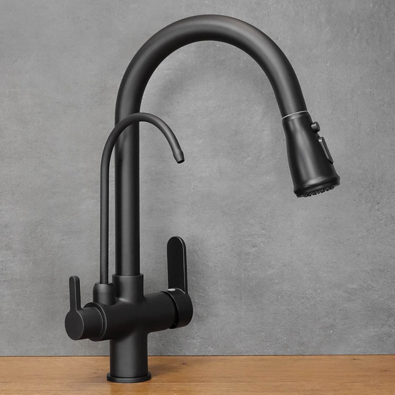Belfry Kitchen Kitchen Faucet, Black