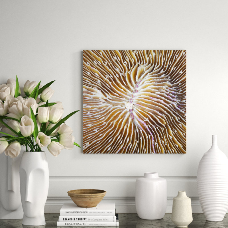 Underwater Beauty VI Print by Austin Beiv, 2.5" Return, 22" H x 22" W x 1.5" D