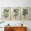 «Burlap Palm Silhouette I», impression encadrée sur mesure de qualité supérieure - 3 pièces-1369567218-1369567229