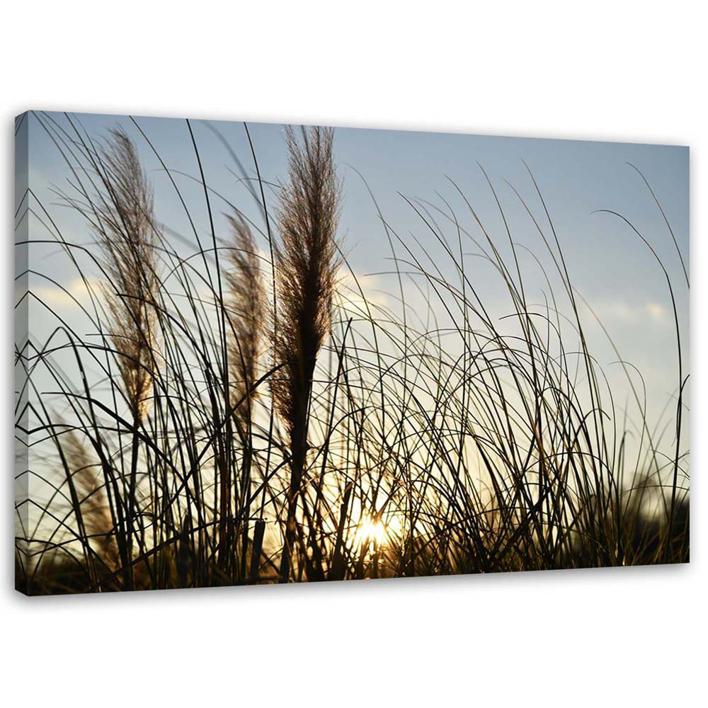 Leinwandbild Reed Nature Lake