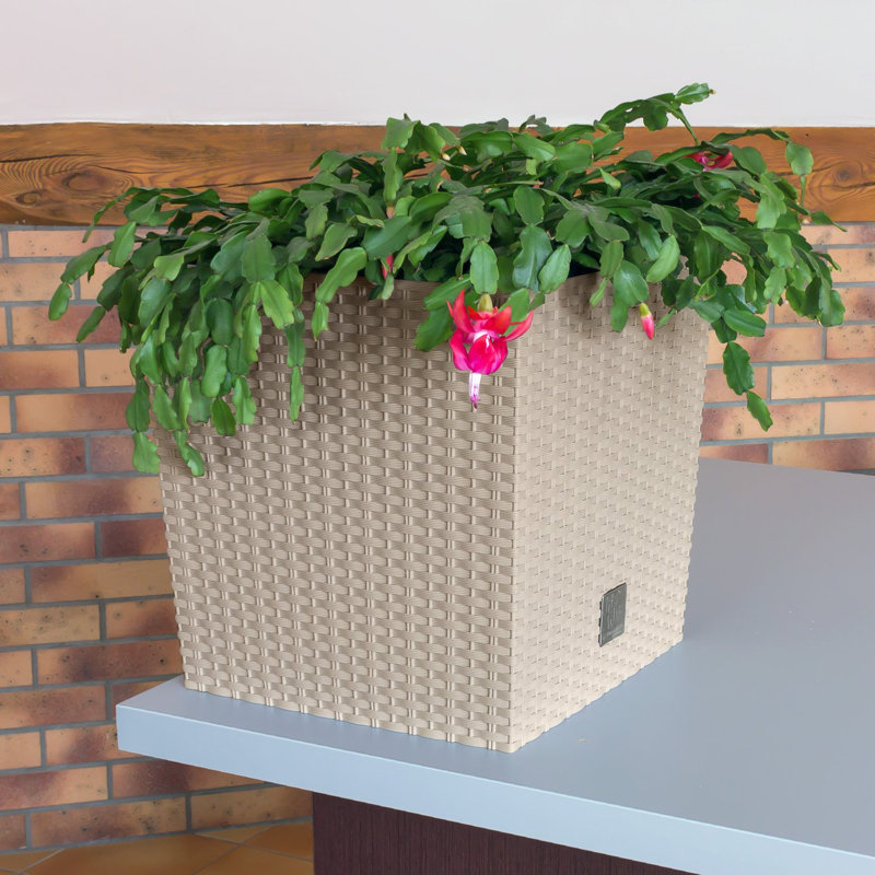 Petty Planter Box, Mocca, 17 cm H x 17 cm W x 17 cm D