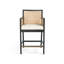 Antonia Counter & Bar Stool-321446881-367595397-367595396