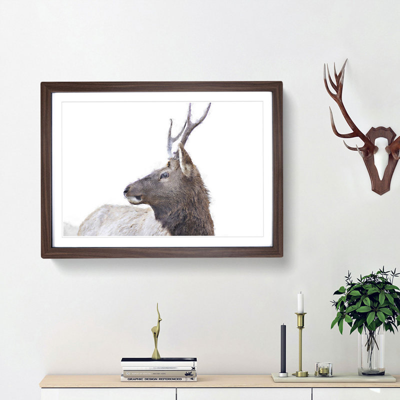 Young Elk - Picture Frame Painting Print, Walnut Framed, 40cm H x 60cm W x 2cm D