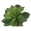 Plante artificielle