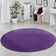 Fancy Purple Rug