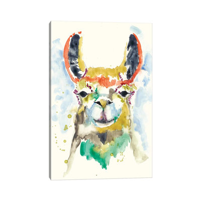 Hi-Fi Llama II by Jennifer Goldberger - Wrapped Canvas Painting