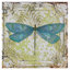 Deagen «Dragonfly on Tin Tile 2», reproduction d'impression sur toile tendue-30366052
