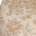 Almond Oak Damask