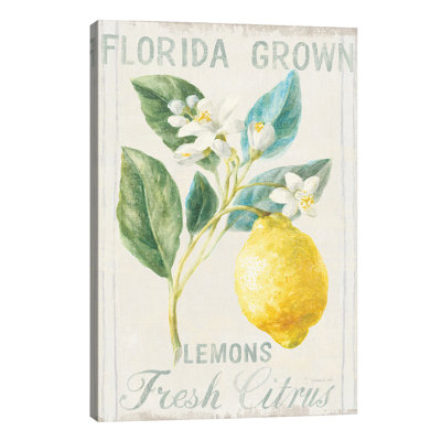 Floursack Lemon I by Danhui Nai - Wrapped Canvas Painting