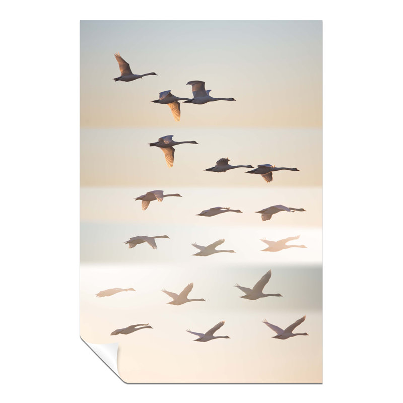 Flock Of Birds Flying Formation - No Frame Print, 46cm H x 31cm W x 0.5cm D