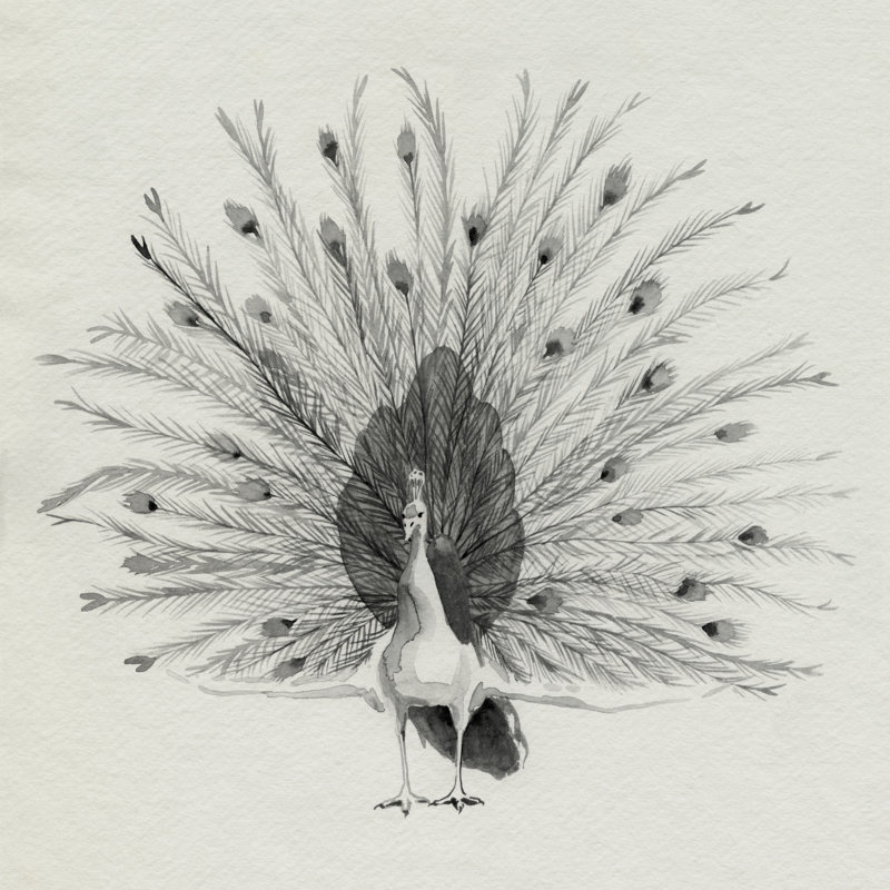 Ébène à plumes de paon II, H 30 po x l 30 po x P 1,25 po