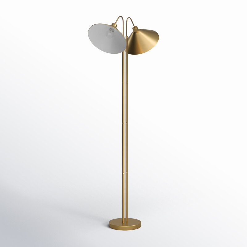 Fayra 2 - Light Gooseneck Floor Lamp