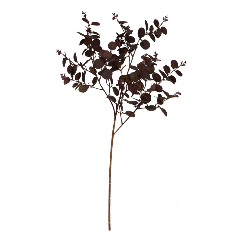 Anastasija Arrangement