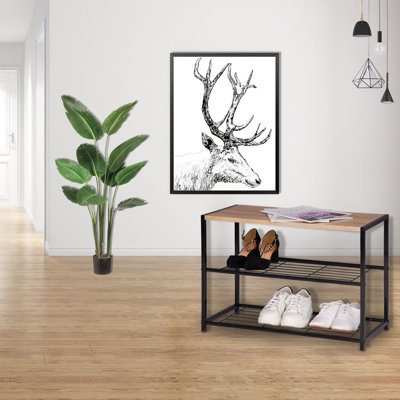 6 Pair Shoe Rack