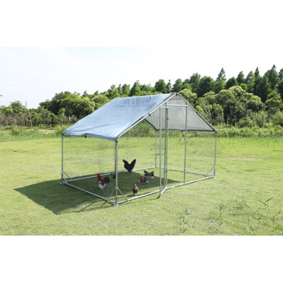 Cage à poules en métal imprégnée de fil d'acier de grande taille One Support
