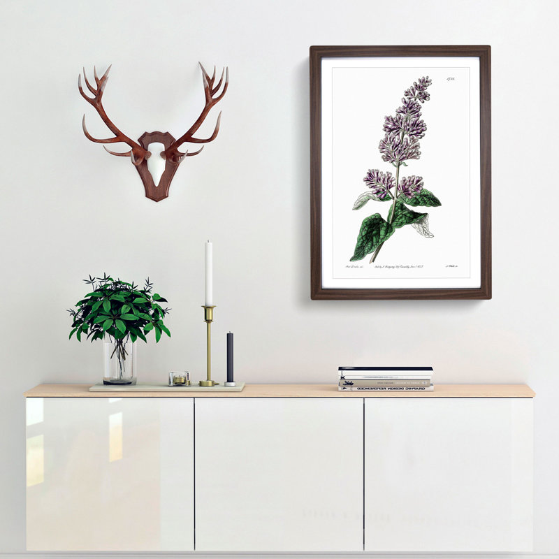 Hungarian Lilac Flowers - Framed Print, Walnut Framed, 36cm H x 27cm W x 2cm D