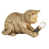 Gold is out of stock selected