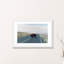 « buffalo bison » par chelsea victoria-impression-49900651-49900652