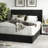 Filton Upholstered Metal Standard Bed-19819188-19819191