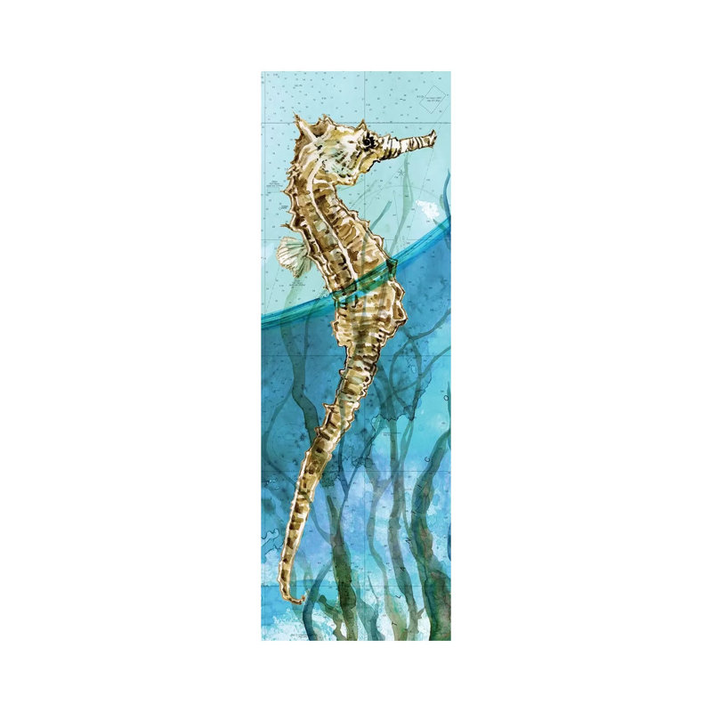Atlantic Seahorse by Carol Robinson - Panoramic Print on Canvas, Wrapped Canvas, 30.48 cm H x 91.44 cm W x 1.91 cm D